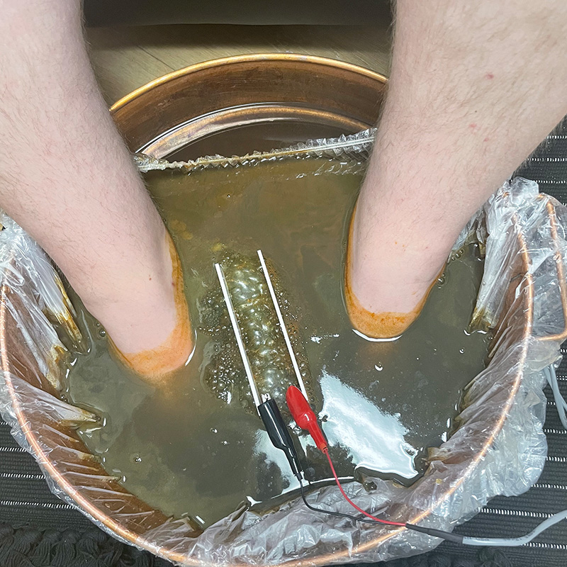 Ionic foot bath detox